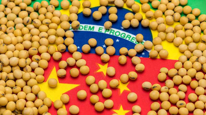 Protocolo entre Brasil e China pode unificar regras para soja e carne sem desmatamento, diz WRI