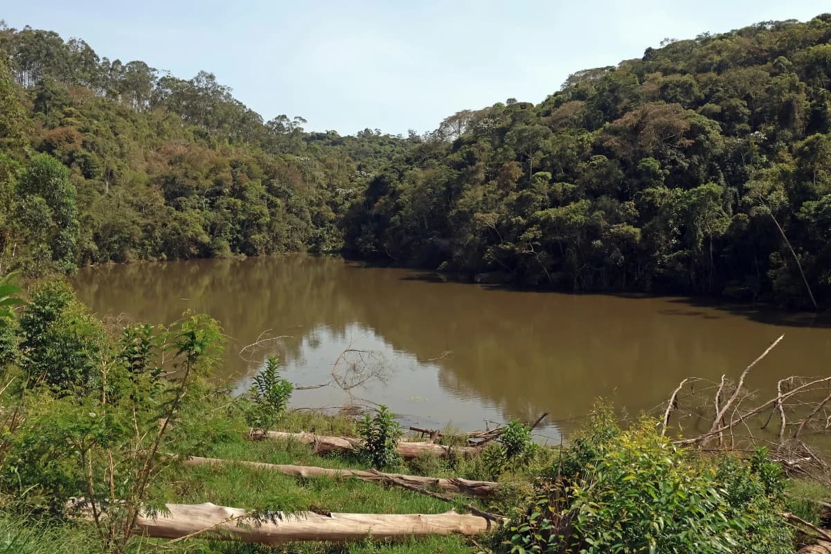 Moradores de Juiz de Fora reclamam de abandono em área que será o Parque Municipal Poço D’Anta