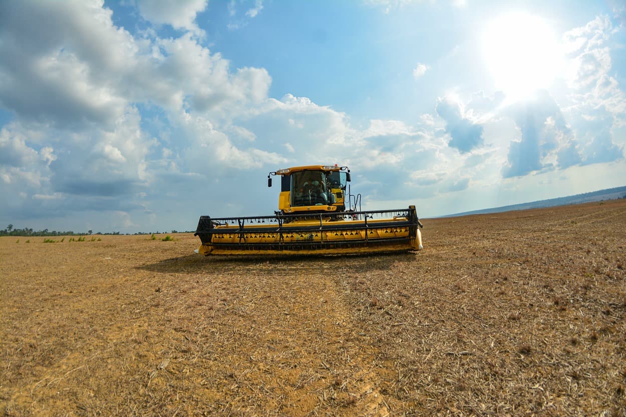 Agropecuária ocupa 32% do território brasileiro e vegetação nativa recua em 41 anos