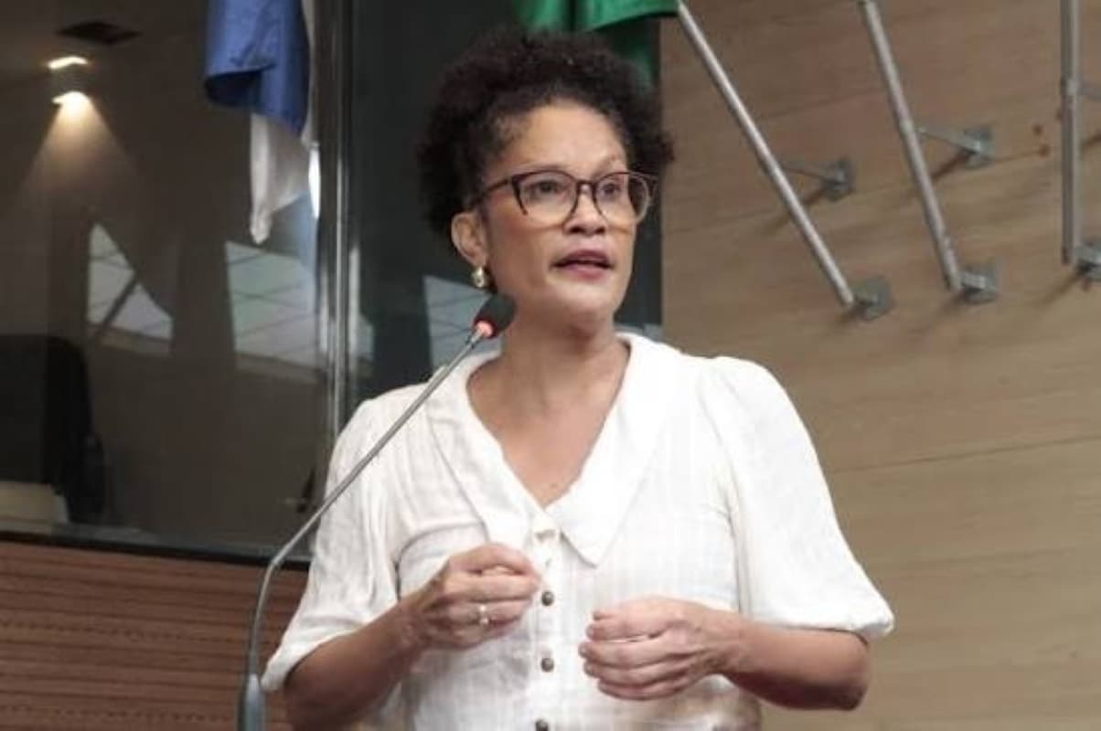 Vereadora Jô Cavalcanti chama vereador Thiago Medina de 'fascistinha de merda' no Recife